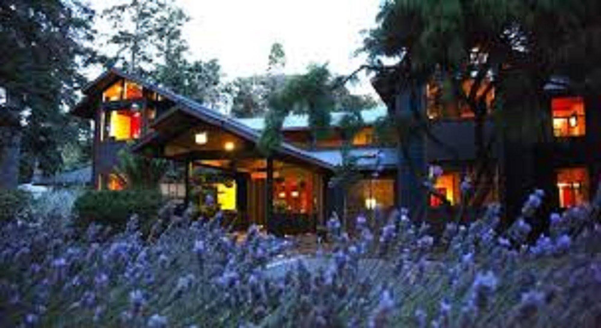 Glendeven Inn Little River Dış mekan fotoğraf
